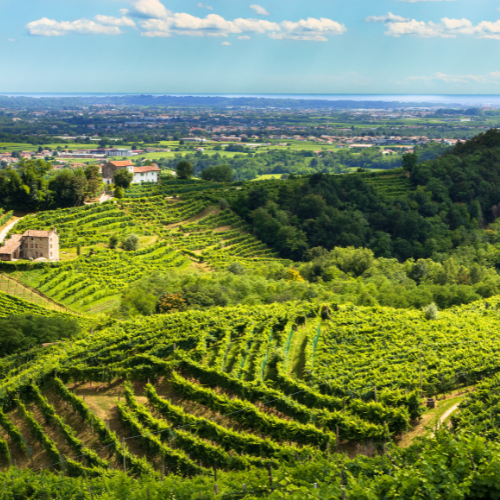 kde sa može prosecco vyrábať